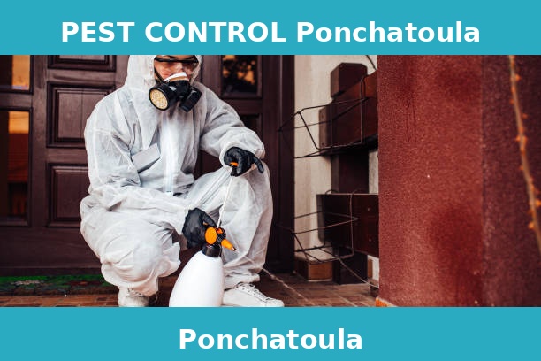 PEST CONTROL Ponchatoula